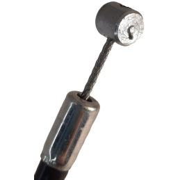 LINKA SSANIA BETA RR (05-17)